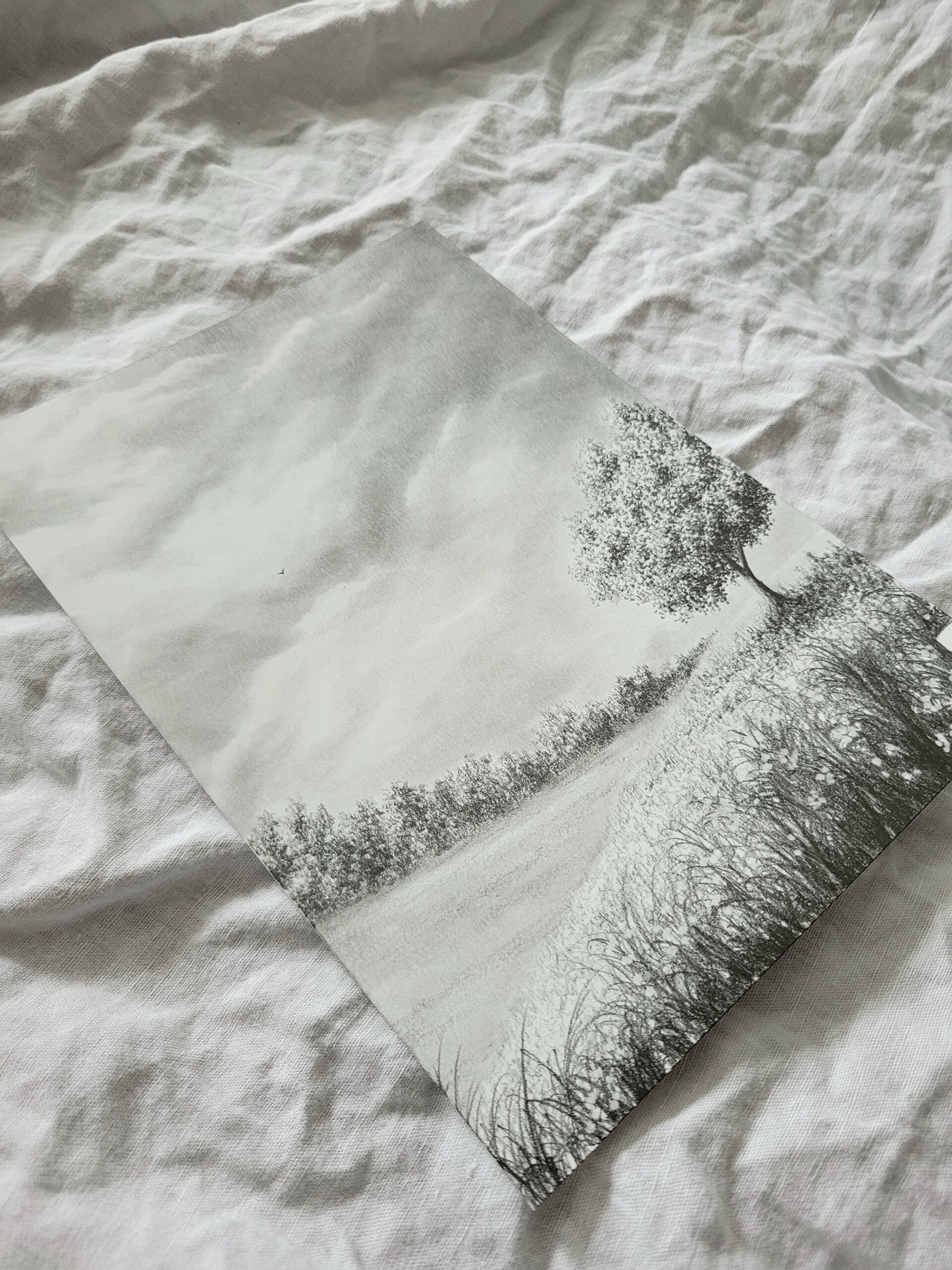 L'oiseau et l'arbre – Image 2