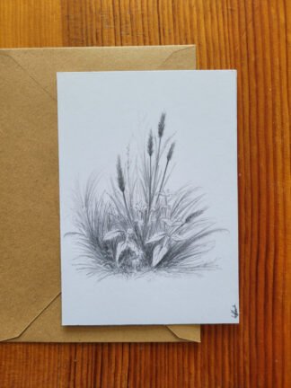 Herbes sauvages - Impression -