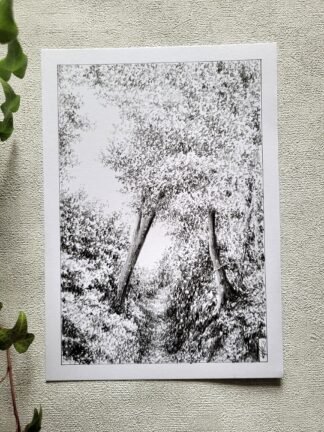 Repartir - dessin original -