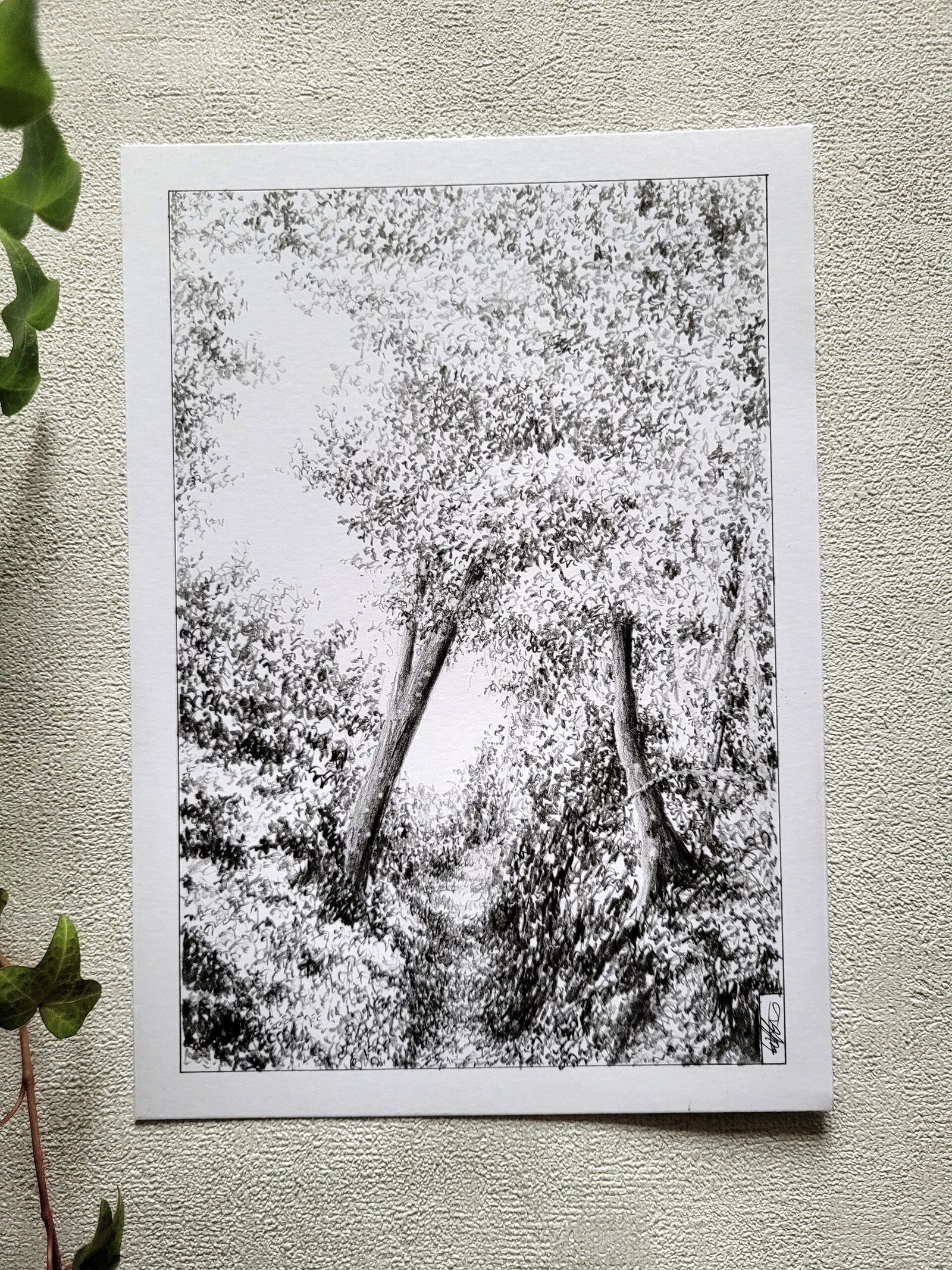 Repartir - dessin original -