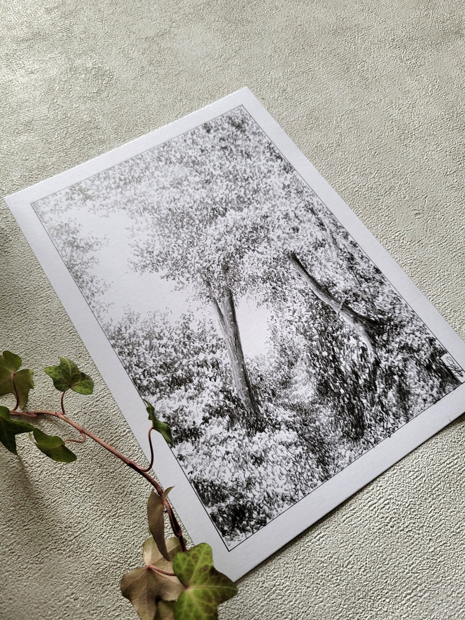 Repartir - dessin original - – Image 2