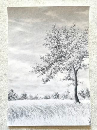 Particulière -Reproduction-